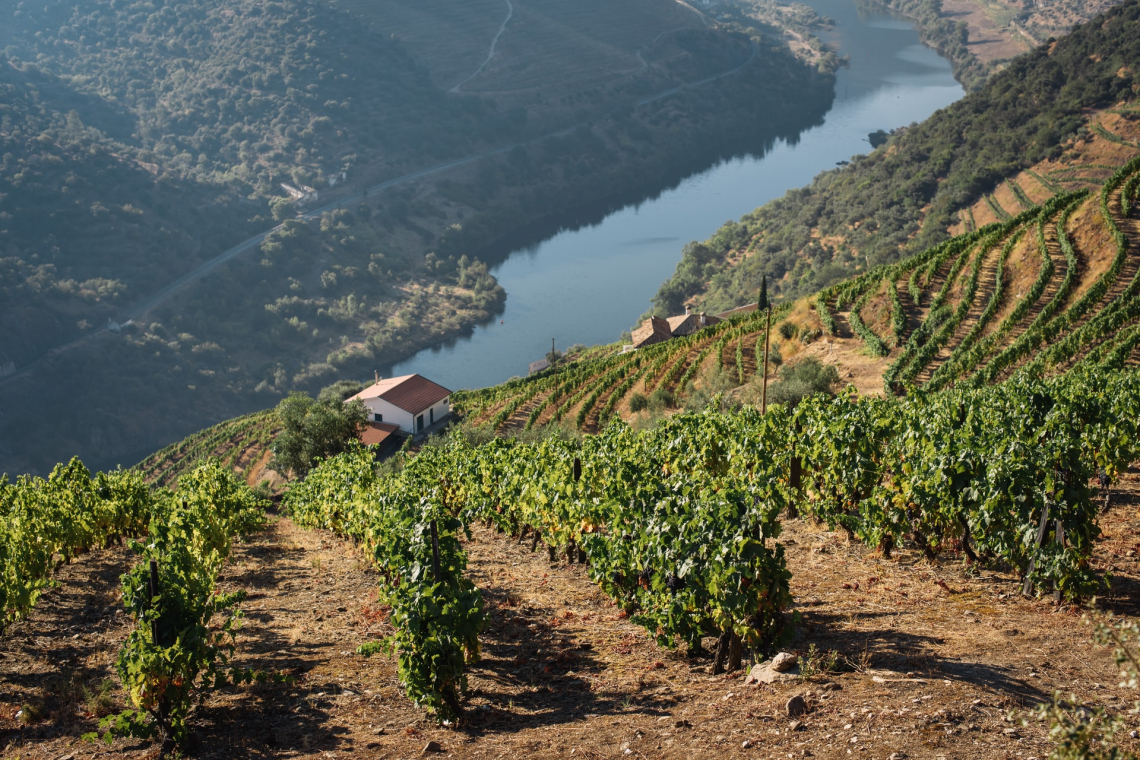 douro mau tempo vinha